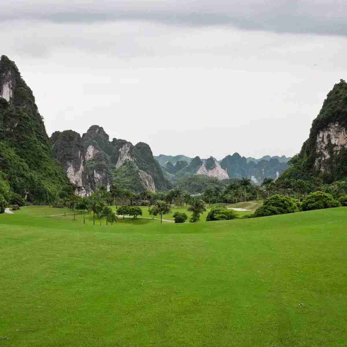 越南河内凤凰（凤场）