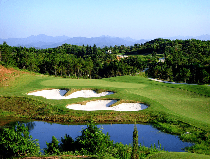  安徽黄山松柏（彩虹）